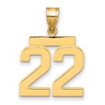 14k Medium Polished Number 22 Charm