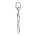 Sterling Silver Rhodium-plated Polished Reversible Aquarius in Circle Zodiac Pendant - Image 2