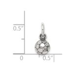 Sterling Silver Antiqued Soccer Ball Char - Image 3