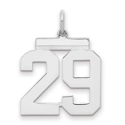 Sterling/Silver Rhodium-plated Polished Number 29 Charm