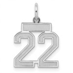 Sterling Silver/Rhodium-plated Satin Number 22 Charm