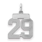 Sterling Silver/Rhodium-plated Satin Number 29 Charm
