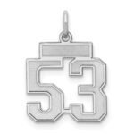 Sterling Silver/Rhodium-plated Satin Number 53 Charm