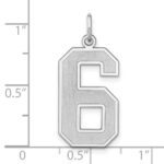 Sterling Silver/Rhodium-plated Satin Number 6 Charm - Image 4