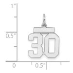 Sterling Silver/Rhodium-plated Polished Number 30 Charm - Image 3