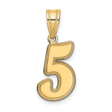 14k Brushed Border Script Number 5 Pendant
