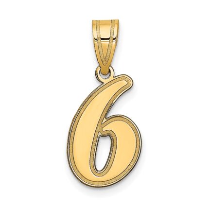 14k Brushed Border Script Number 6 Pendant