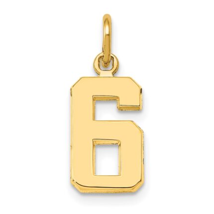 14k Small Polished Number 6 Charm