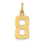 14k Small Polished Number 8 Charm