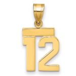 14k Small Polished Number 12 Charm