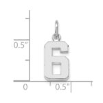 14kw Small Polished Number 6 Charm - Image 3