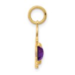 14K Boy Charm 6x4 Oval Genuine Amethyst-February - Image 2