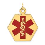 14k 26.5mm Hexagon Red Enameled Medical Jewelry Pendant