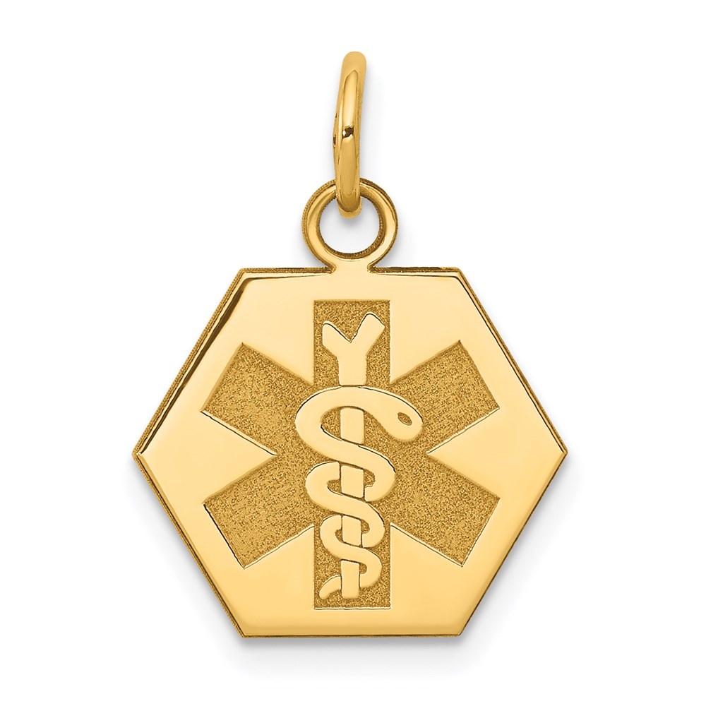 XM36N.jpg 14k 15mm Hexagon Non-enameled Medical Jewelry Pendant - Image 1