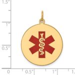 14k 22mm Round Red Enameled Medical Jewelry Pendant - Image 2