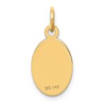 14k 16x9.5mm Oval Non-enameled Medical Jewelry Pendant - Image 4