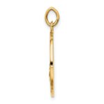 14k Polished and Satin Solid San Juan De Los Lagos Medal Round Pendant - Image 2