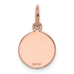 14k Rose Gold Plain .027 Gauge Round Engraveable 10mm Disc Charm - Image 3